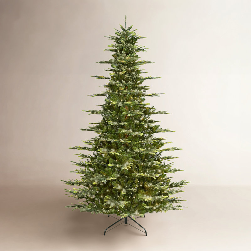 The Holiday Aisle® Aspen 9' Pre-Lit Fir Christmas Tree | Birch Lane